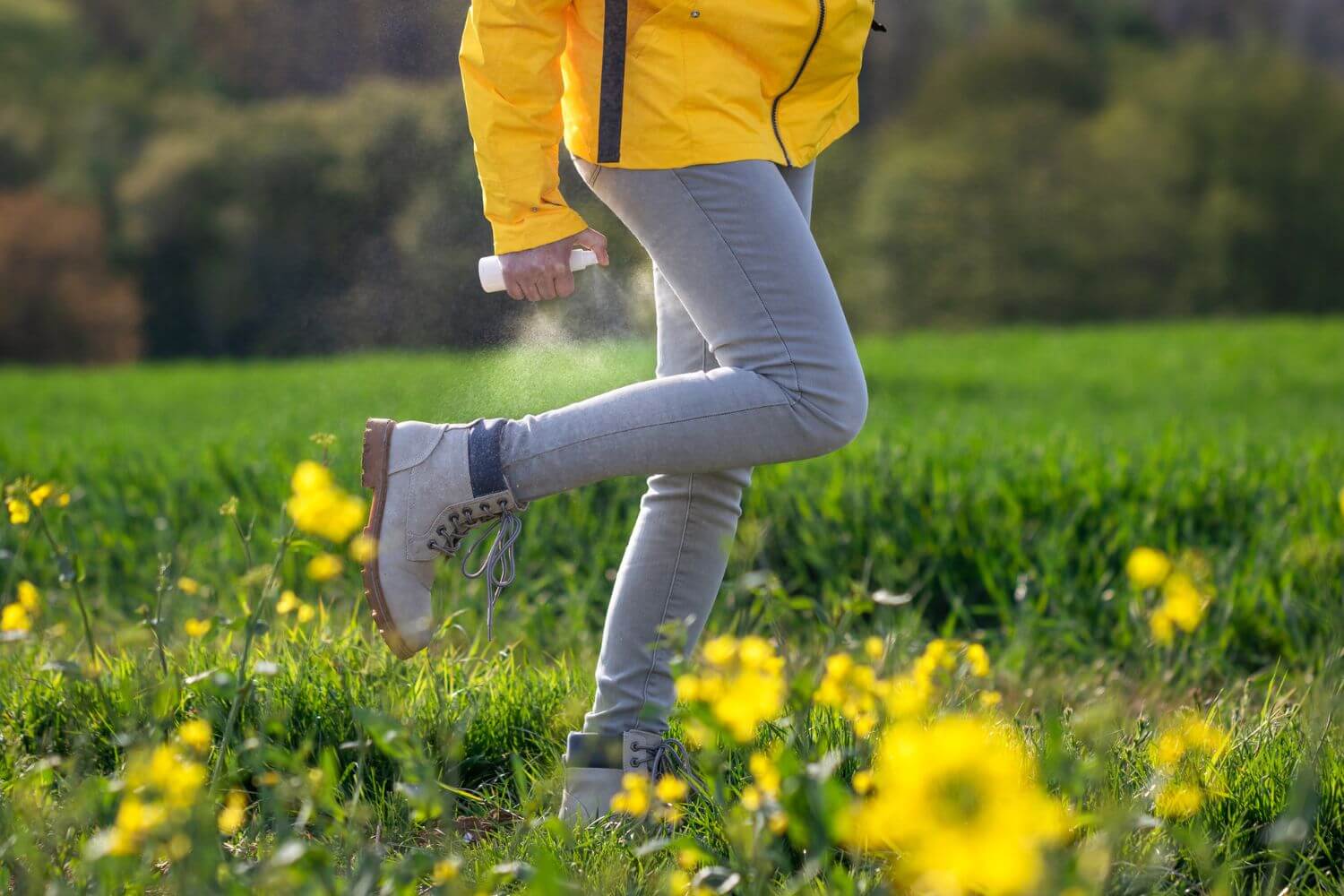 When Is “Tick Season” in Massachusetts?