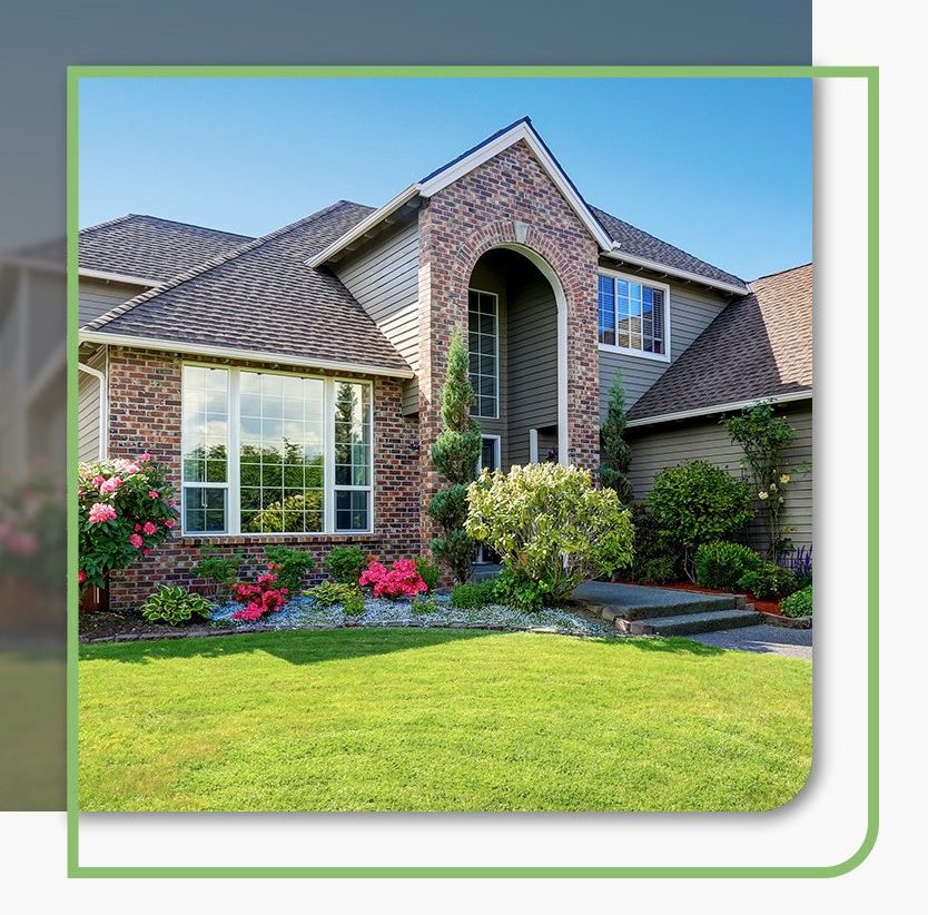Pest-free house protected by Pestex inc.