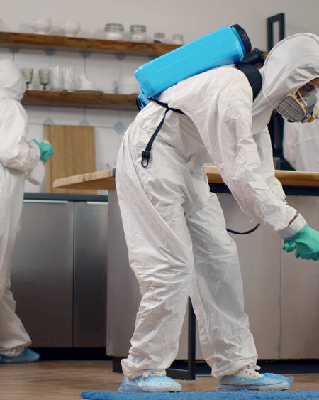 Pest Control, Pest Control Company