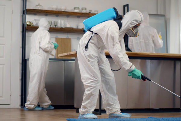 Pest Control, Pest Control Company